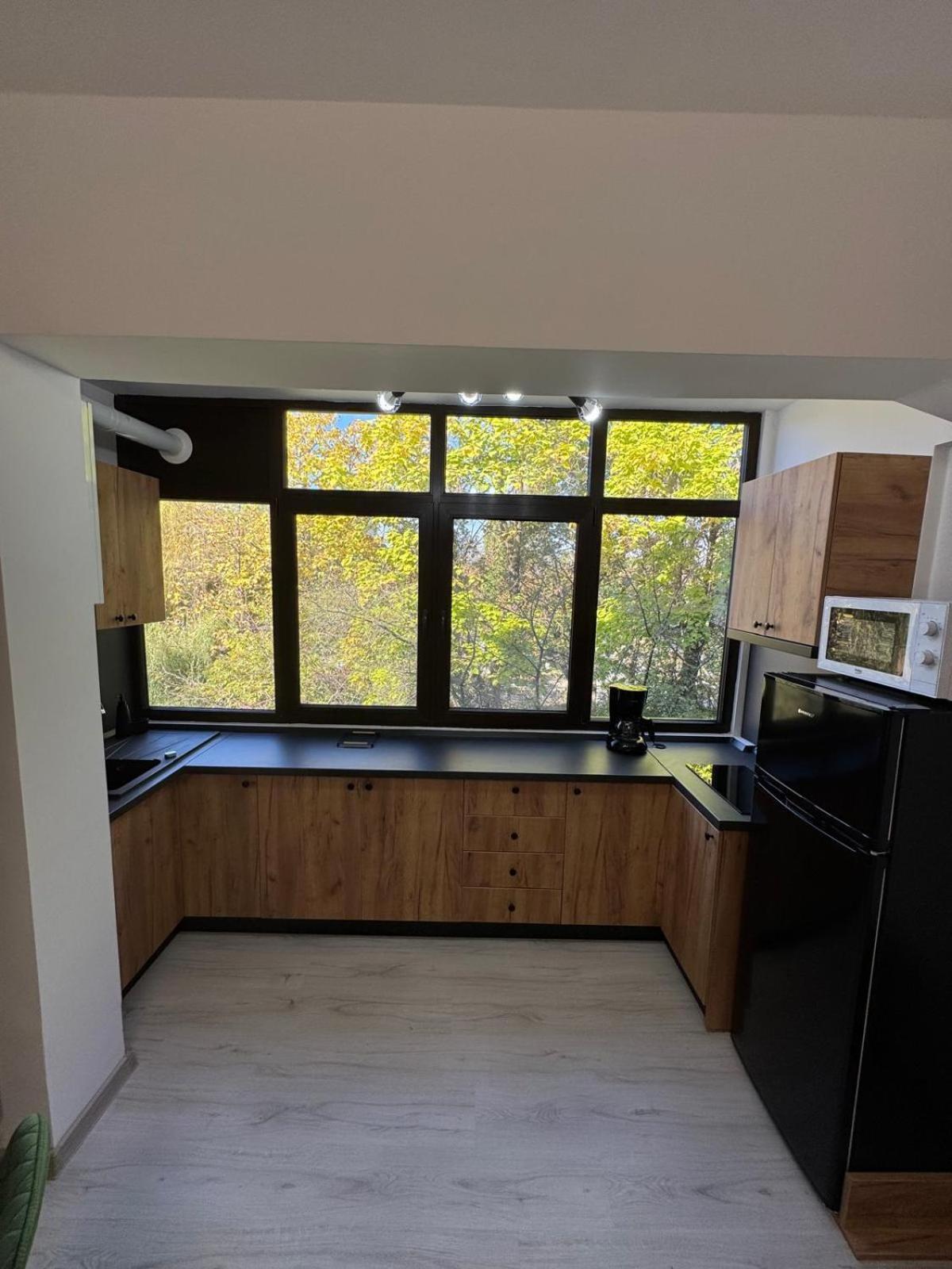 חונדוארה Vapartament 2 Central מראה חיצוני תמונה