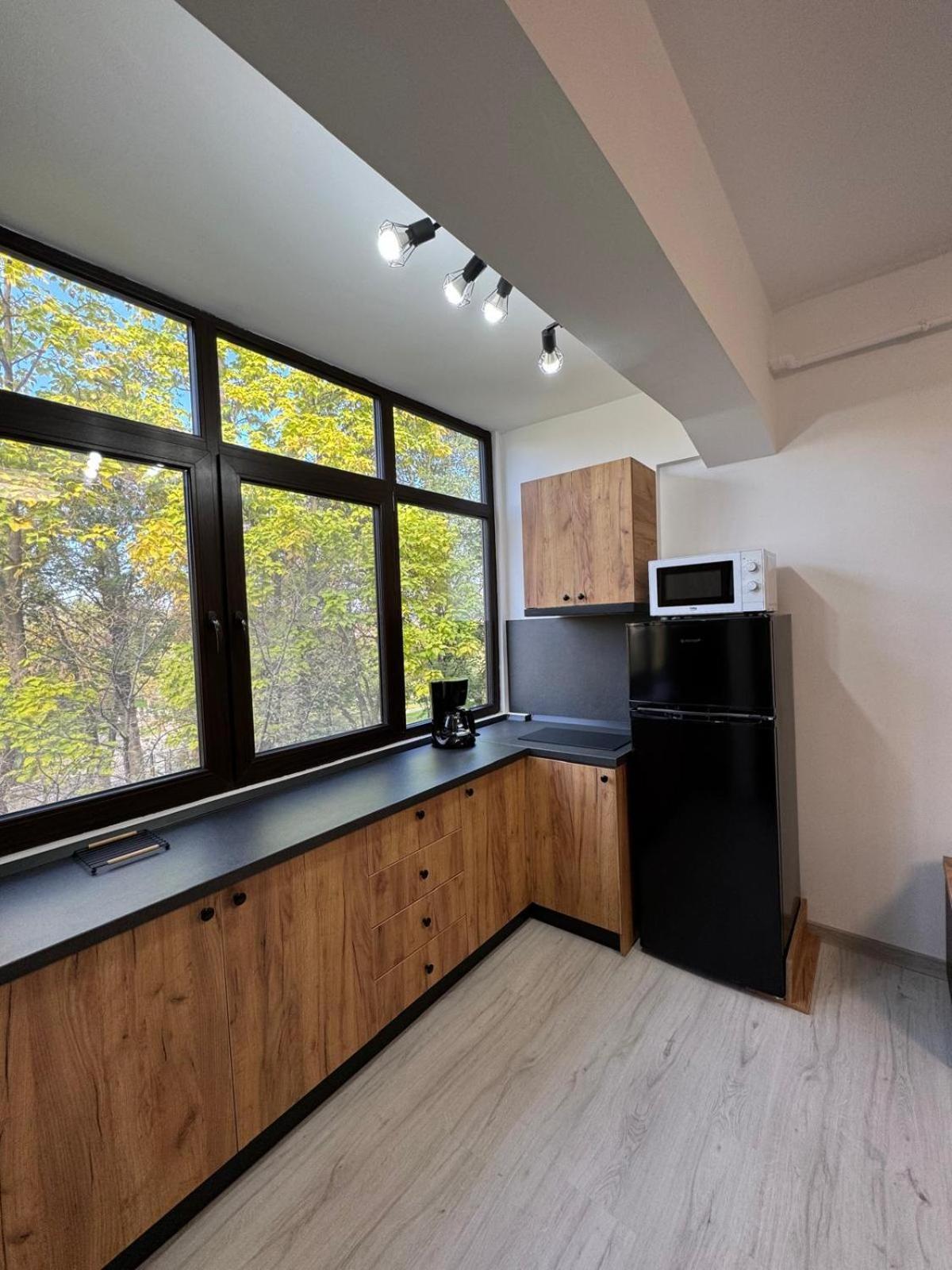 חונדוארה Vapartament 2 Central מראה חיצוני תמונה